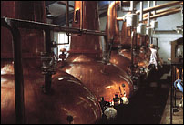 Swan-necked copper stills